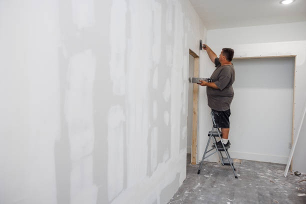 Best Water Damage & Mold Remediation  in Titusville, PA