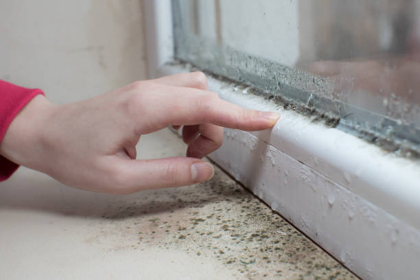 Best Forensic Mold Investigation  in Titusville, PA