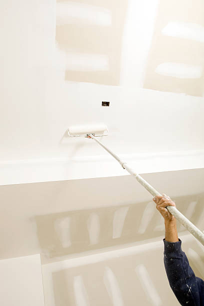 Best Emergency Mold Remediation  in Titusville, PA