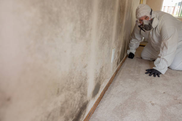 Best Indoor Air Quality Assessment  in Titusville, PA