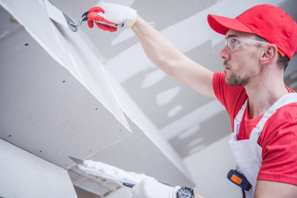 Best Black Mold Removal  in Titusville, PA